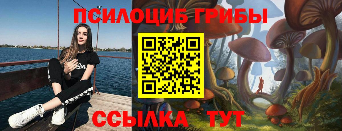 Галлюциногенные грибы Cubensis Изобильный